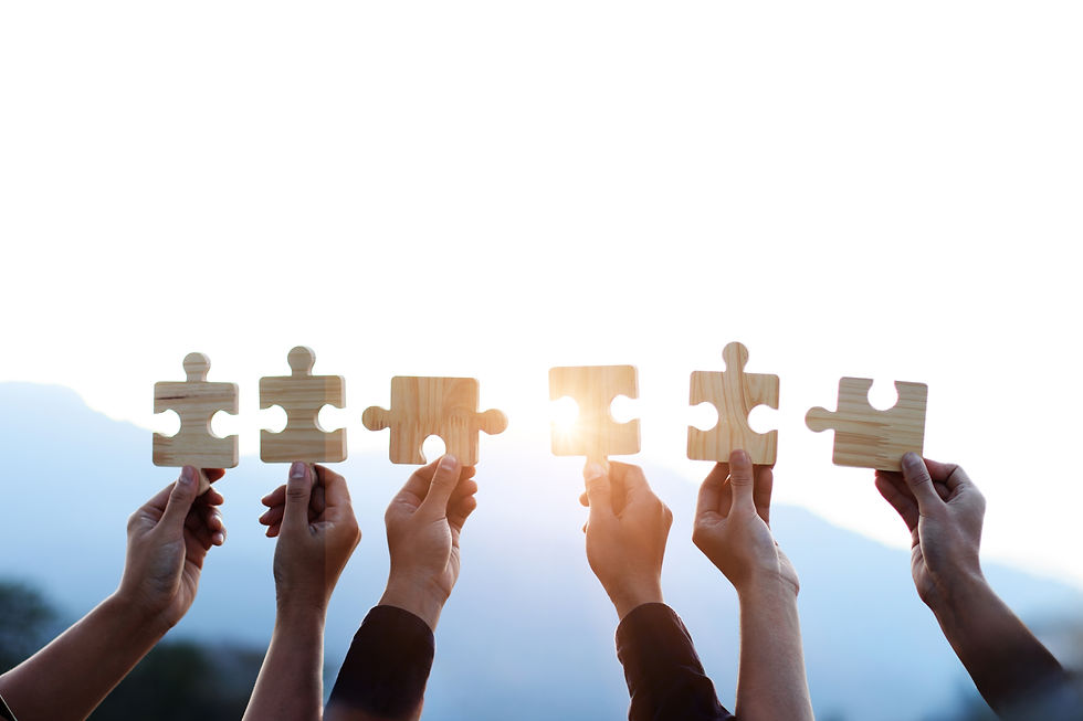 Teamwork and Partnership