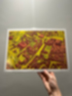 Thumbnail: NN State of Mind (A3 Print)
