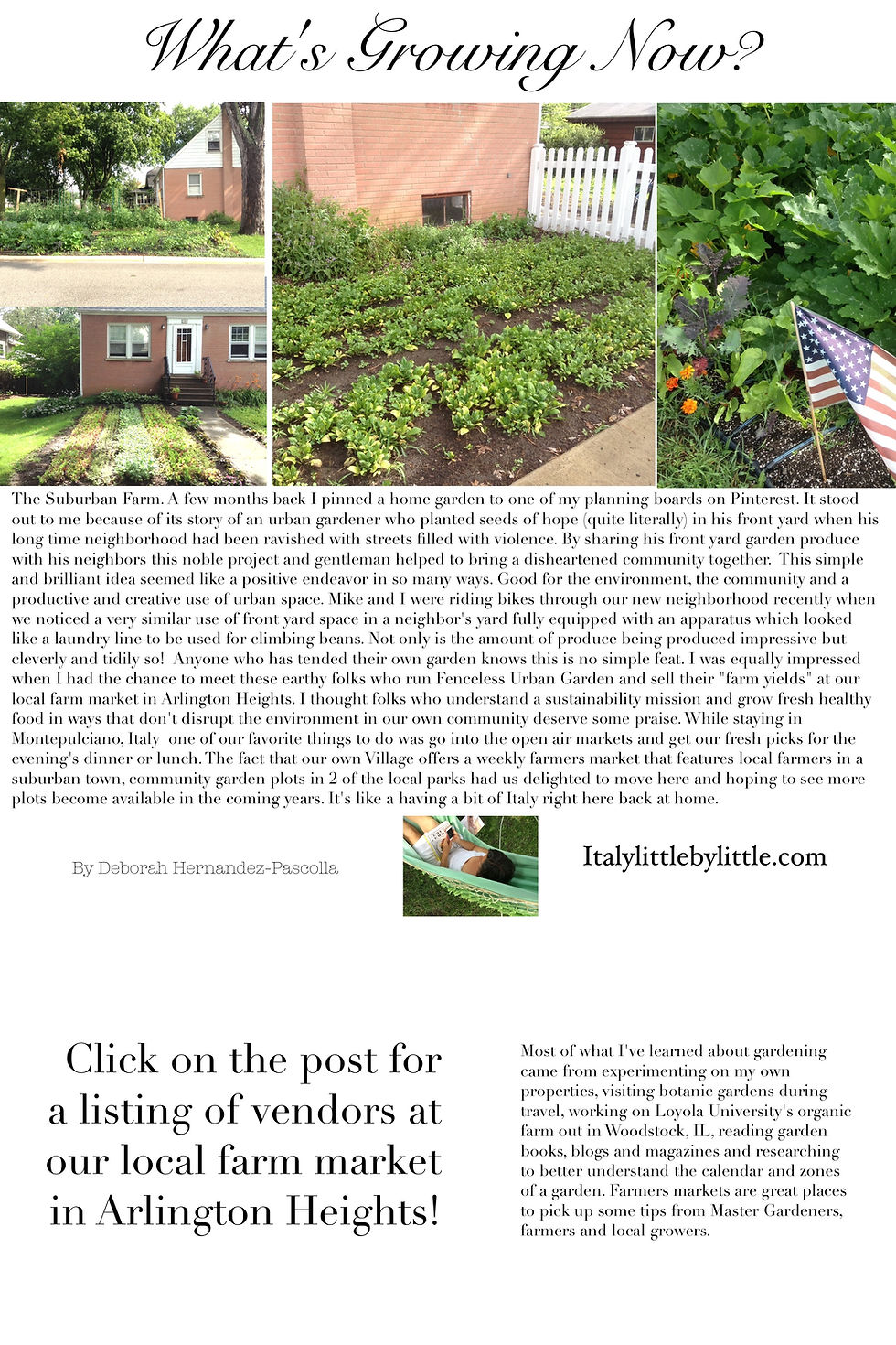 Suburban Farm - growing productive, safe and healthy crops in town