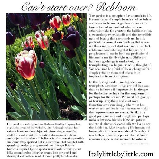 Can't start over? Rebloom!