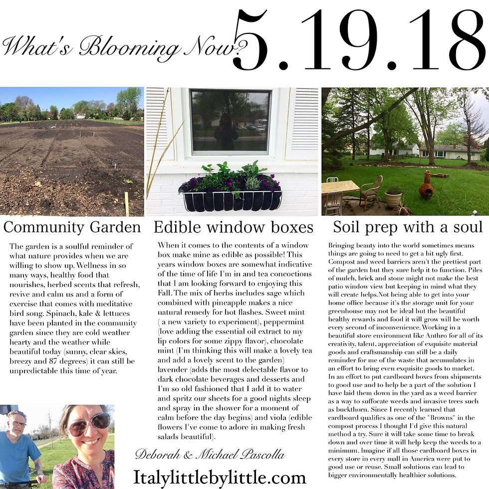 Community Gardens, Edible Window Boxes & Soil with a Soul