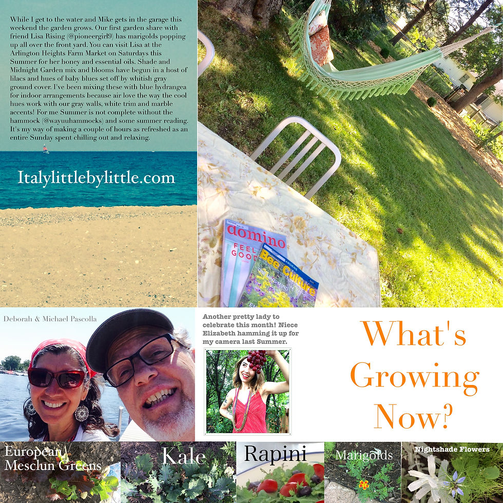 Summertime Rituals and what's growing in the community garden these days.