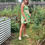 Thumbnail: In the Garden Dress