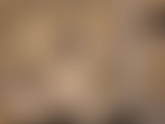 Expo Mueble Internacional Guadalajara: actualización, alianzas y diseño que evoluciona