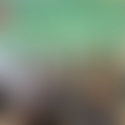 PROJETO EMOÇÕES: APRENDENDO A RECONHECER E EXPRESSAR SENTIMENTOS DESDE A INFÂNCIA