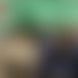 APRENDER A ARGUMENTAR: O PAPEL DO DEBATE REGRADO NO 8º ANO