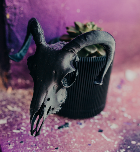 Small Skull Plant Pot