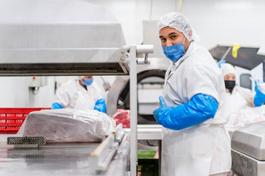empacadora de carnes, venta de cortes de carne, mayoreo en cortes de carne | carniceria mayoreo