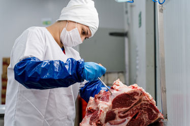 empacadora de carnes, venta de cortes de carne, mayoreo en cortes de carne | carniceria mayoreo
