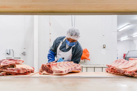 empacadora de carnes, venta de cortes de carne, mayoreo en cortes de carne | carniceria mayoreo