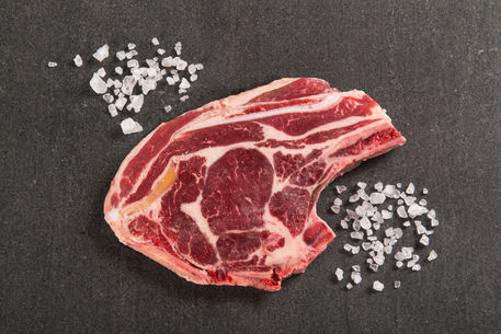 empacadora de carnes, venta de cortes de carne, mayoreo en cortes de carne | carniceria mayoreo