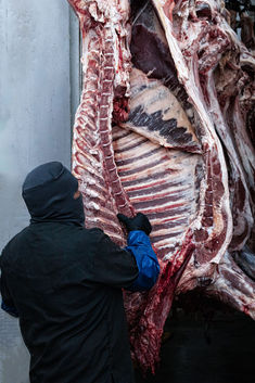 empacadora de carnes, venta de cortes de carne, mayoreo en cortes de carne | carniceria mayoreo