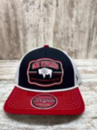 Zephyrs billboard hat 
