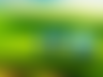 ITR - Imposto sobre a Propriedade Territorial Rural