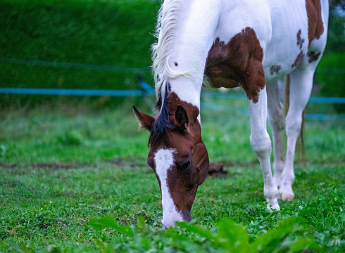 Screenshot 2026-04-24 000814.png