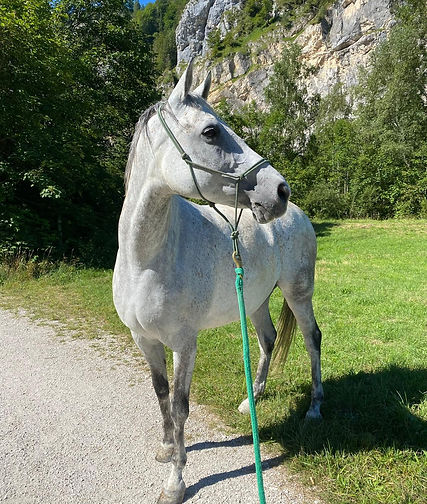 WhatsApp Image 2026-04-24 at 08.06.50.jpeg