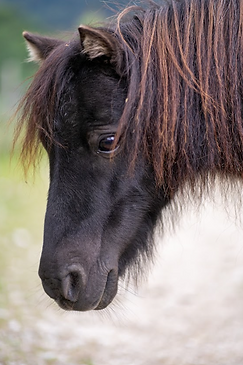 Screenshot 2026-04-24 211724.png