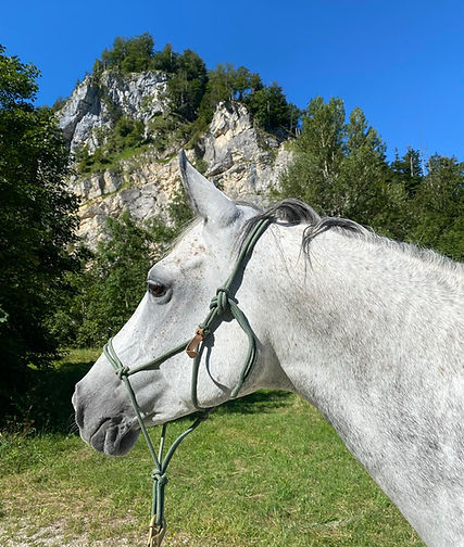 WhatsApp Image 2026-04-24 at 08.06.50 (1).jpeg