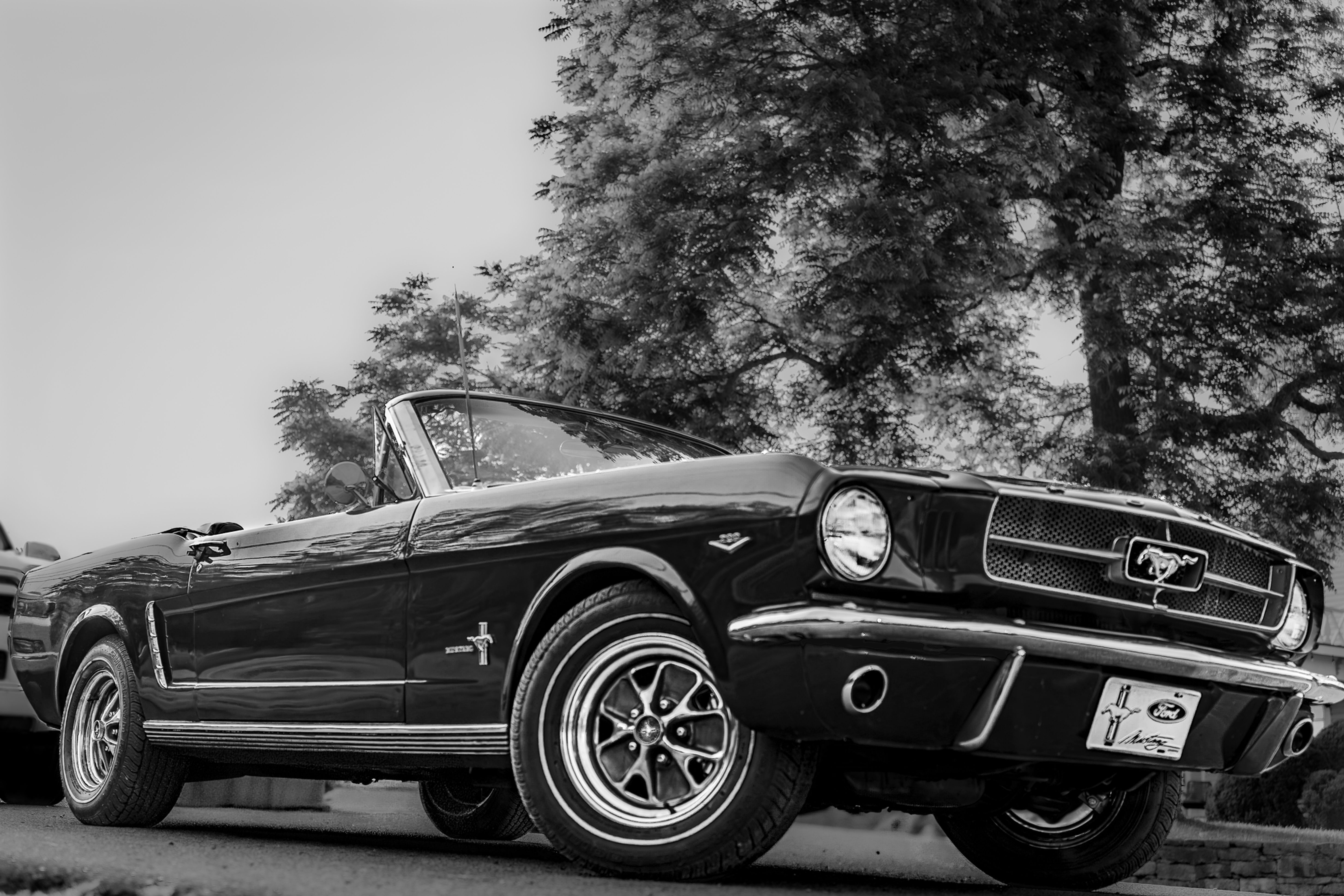 American Reverie