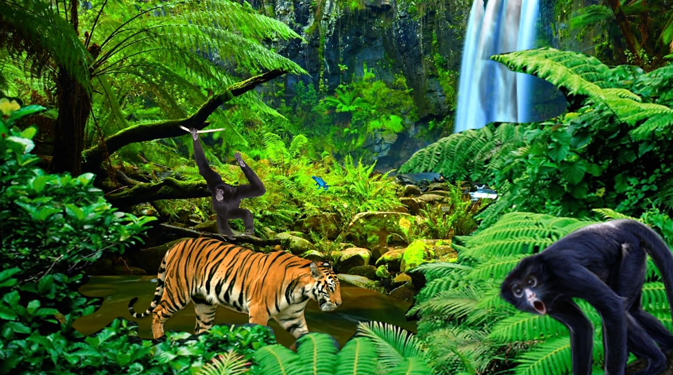 3D Worlds