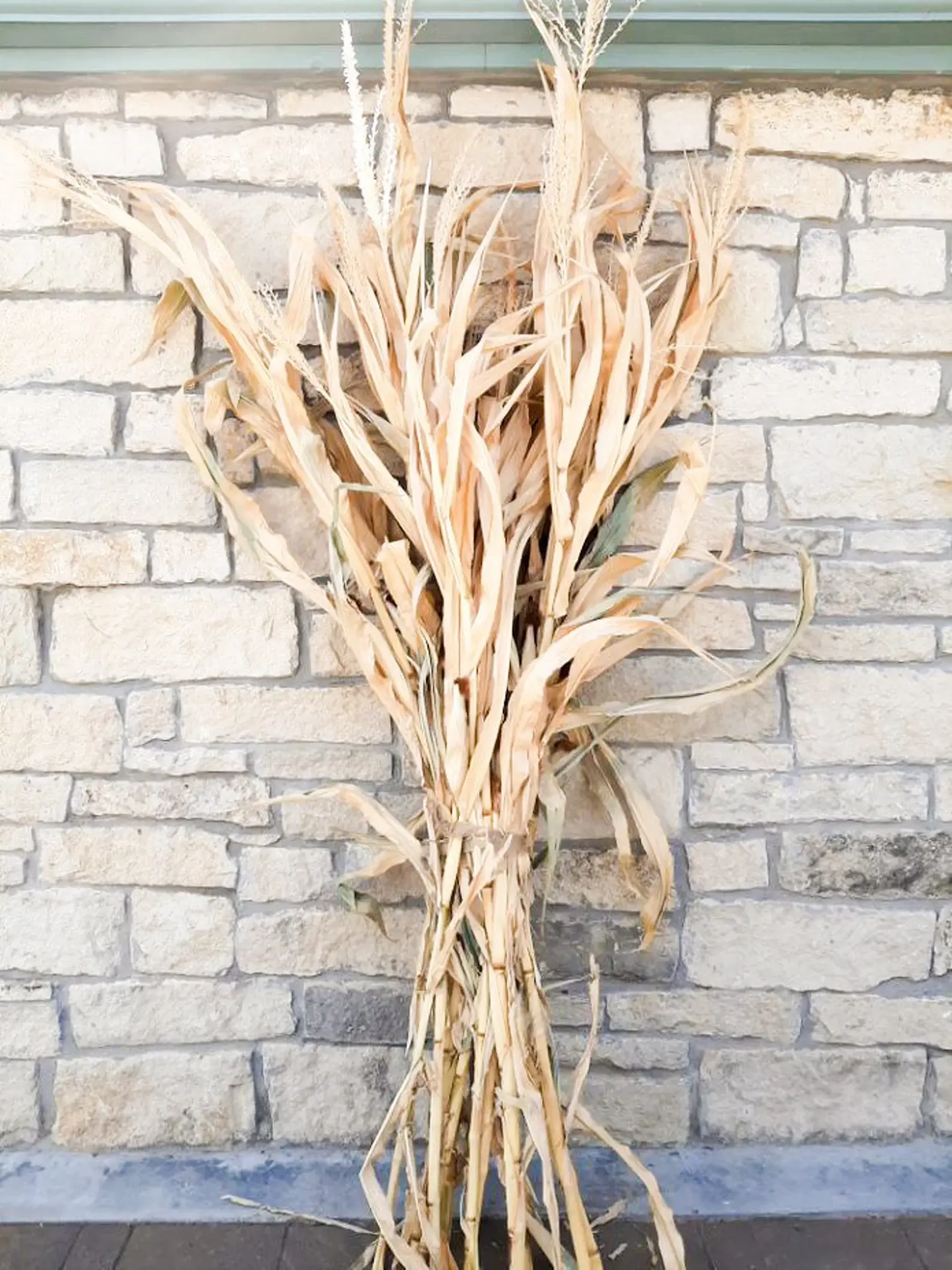 Cornstalk Pair of Two 