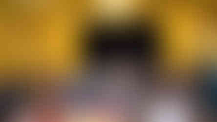 The Metropolitan Orchestra's Peter and the Wolf Concert