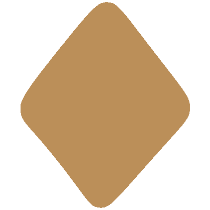 sustainable designer india
