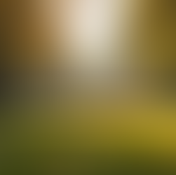 Steps for a Cause: How Our Community Walked to Support the Local Shelter