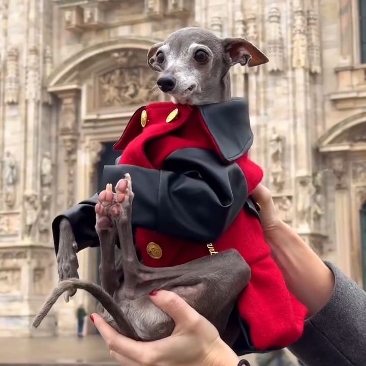 Miniature : Manteau MILAN avec ou sans bérêt