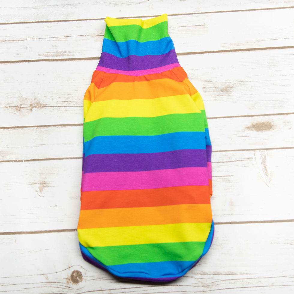 Thumbnail: PRIDE rainbow tshirt for iggy, whippet, etc