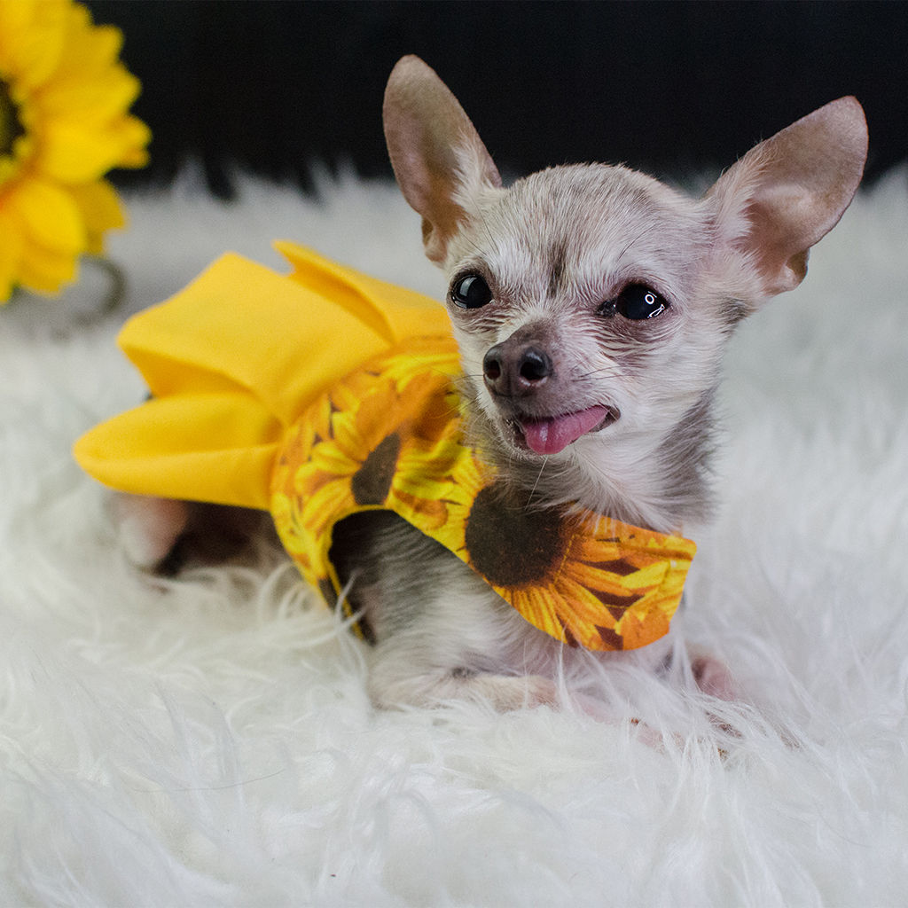 Robe Okalani - Okalani dress