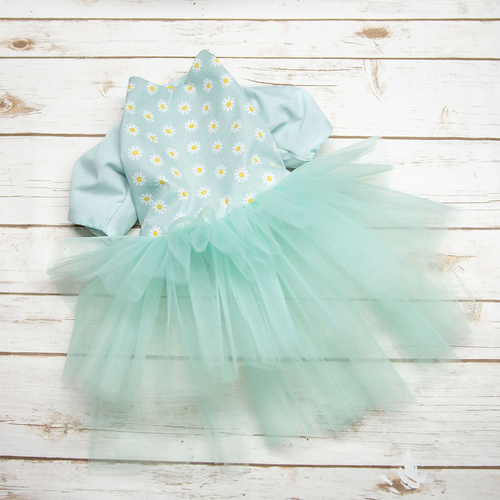 Thumbnail: Daisies & Roses Dress for Dog or Cat, Blush or Aqua