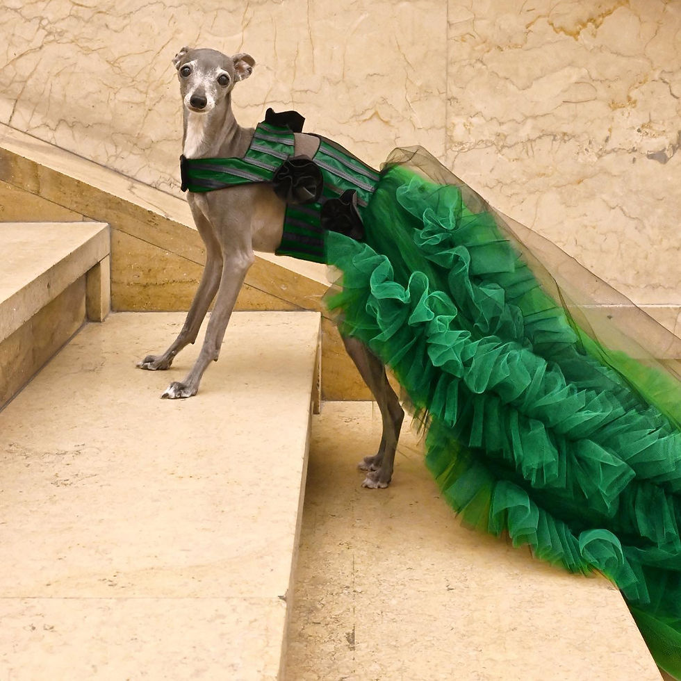 Miniature : Robe Maxi Chic Verte et Noire