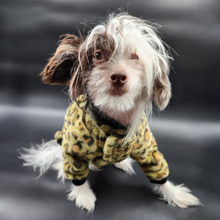 Miniature : Manteau  fausse fourrure Léopard, capuchon ou bomber