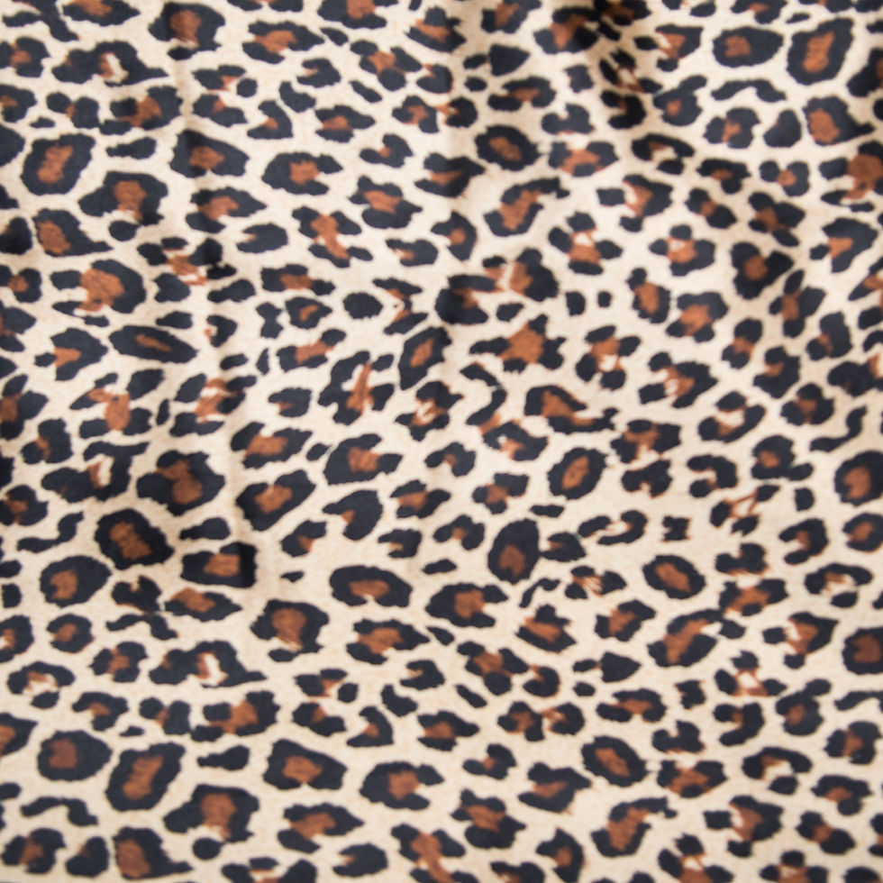 Miniature : Robe cape Leopard or/argent pour chien ou chat