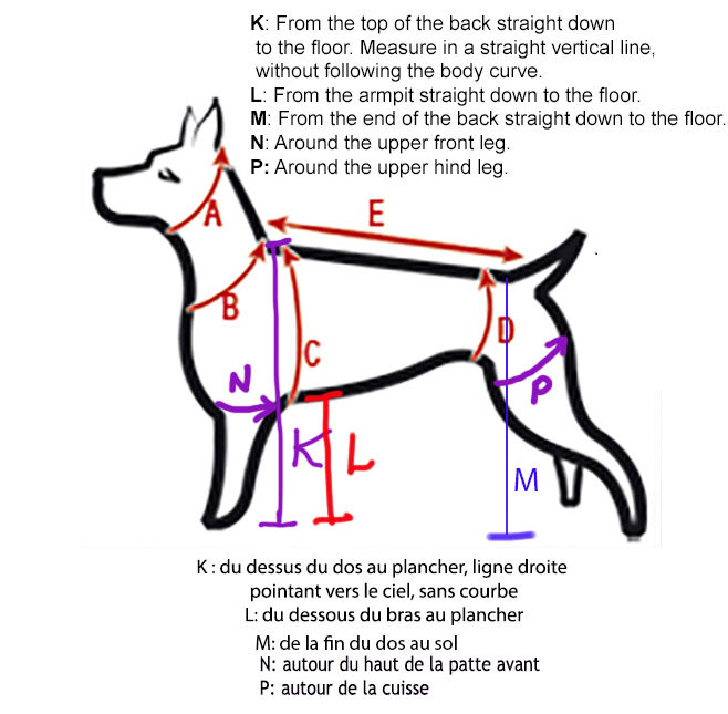 Miniature : Measurements for the Heated Rivalry Ivory Sherpa Plush Coat for Dogs with the name Canada on the back or another custom name.
