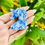 Thumbnail: Sodalite Unicorn 🦄 