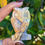 Thumbnail: Crazy Lace Agate