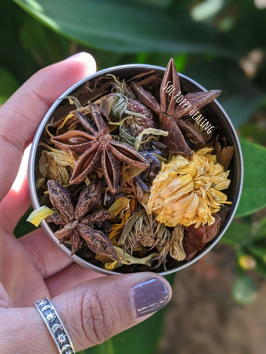 Samhain Herbs - Simmer Pot