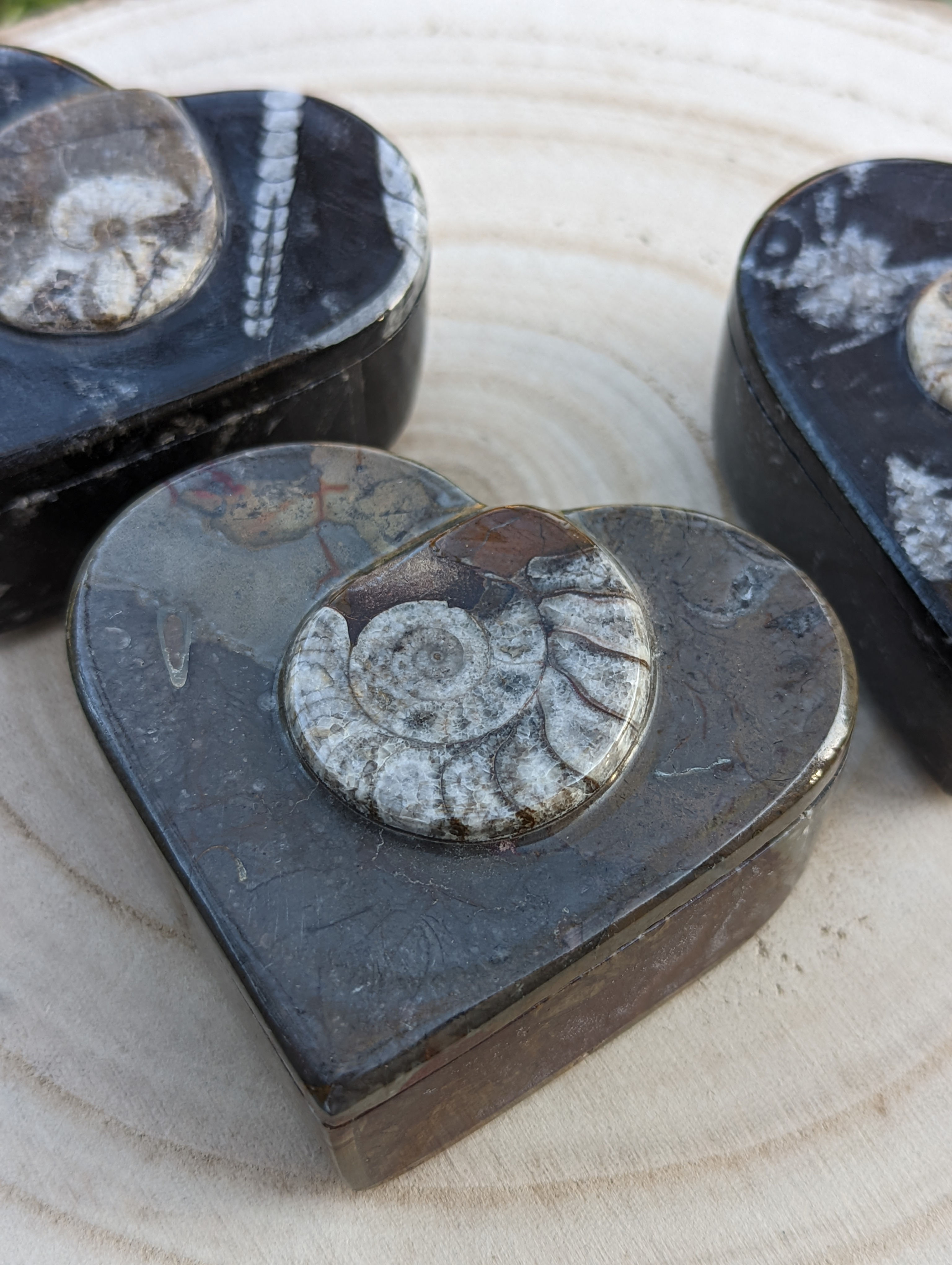 Ammonite & Orthoclase Jewelry Box 