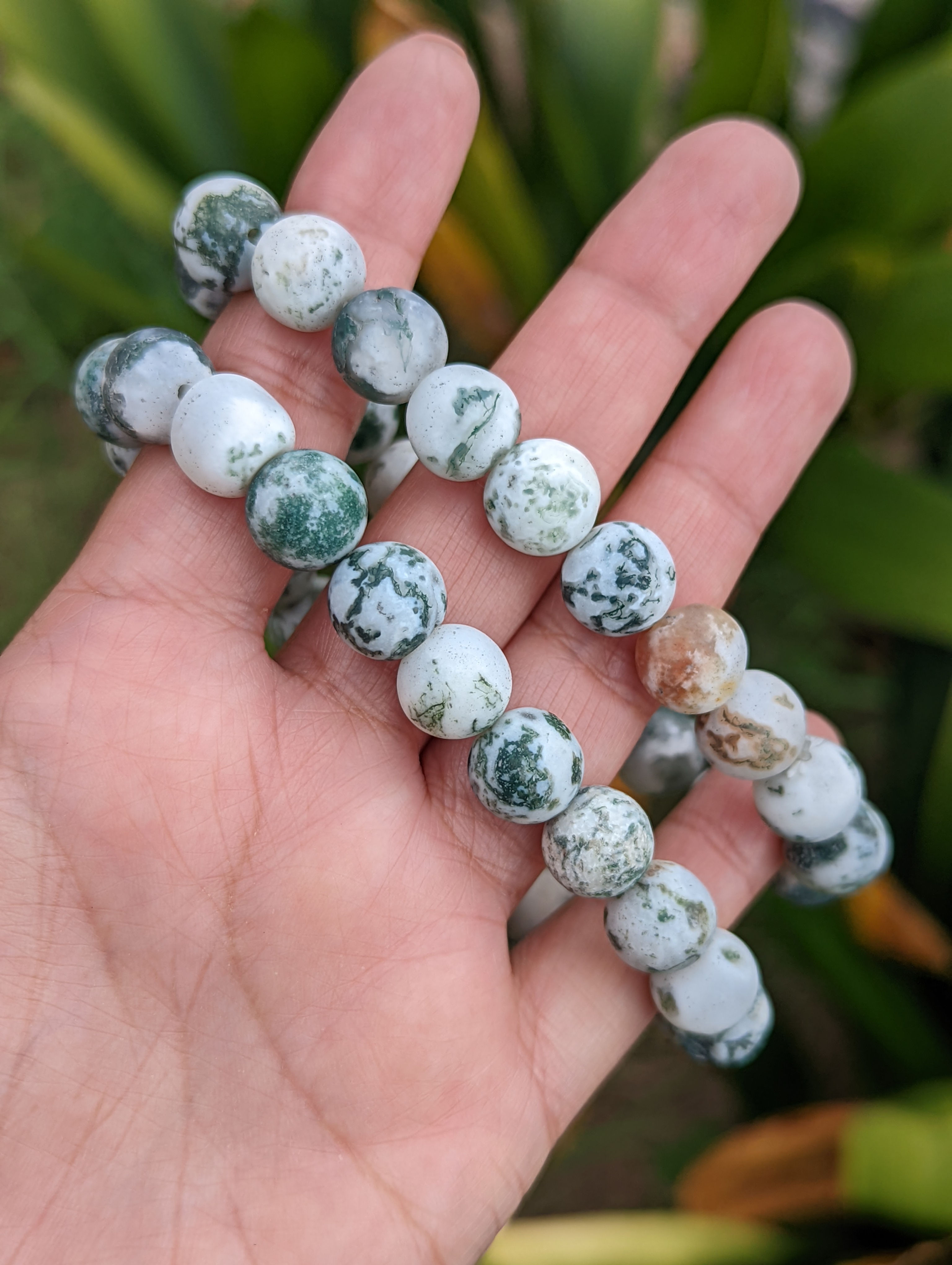 Tree Agate Bracelet w/Onyx Stone (10mm)