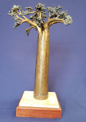 Baobab Grandidieri.jpeg