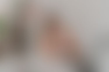 Todo sobre la Anemia