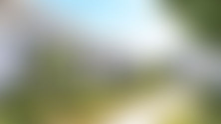 Si vivo en un lugar alquilado y un sismo daña mis cosas ¿quién me indemniza?