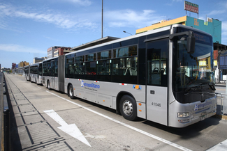 APESEG: ¿Cómo están cubiertos los pasajeros del Metropolitano ante un accidente?
