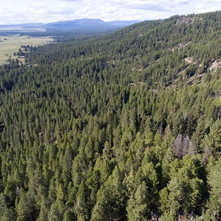 Camp-John-Paul-II-Drone-Landscape.jpg