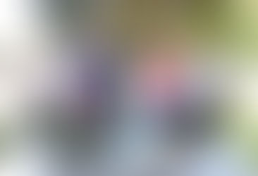 A cemetery resurrected