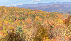 Fall foliage view in Connestee Falls, Brevard, NC