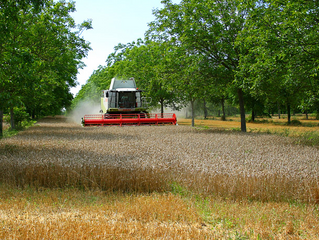 AGRICULTURA ALTERNATIVA Y ECOLÓGICA