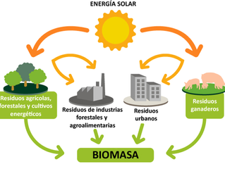 Energia de Biomasa